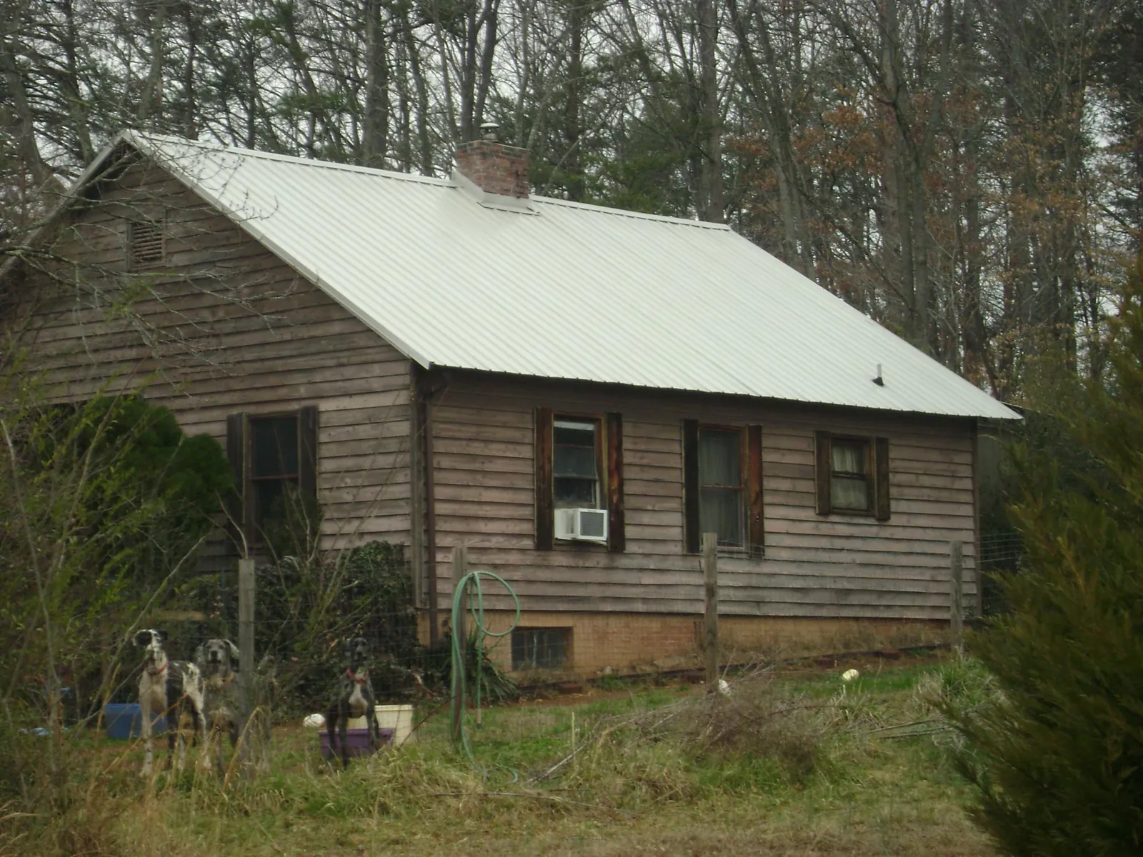 White metal roof on an old wood sided farmhouse, from a Asphalt Shingle Roof Repair job in Vantage